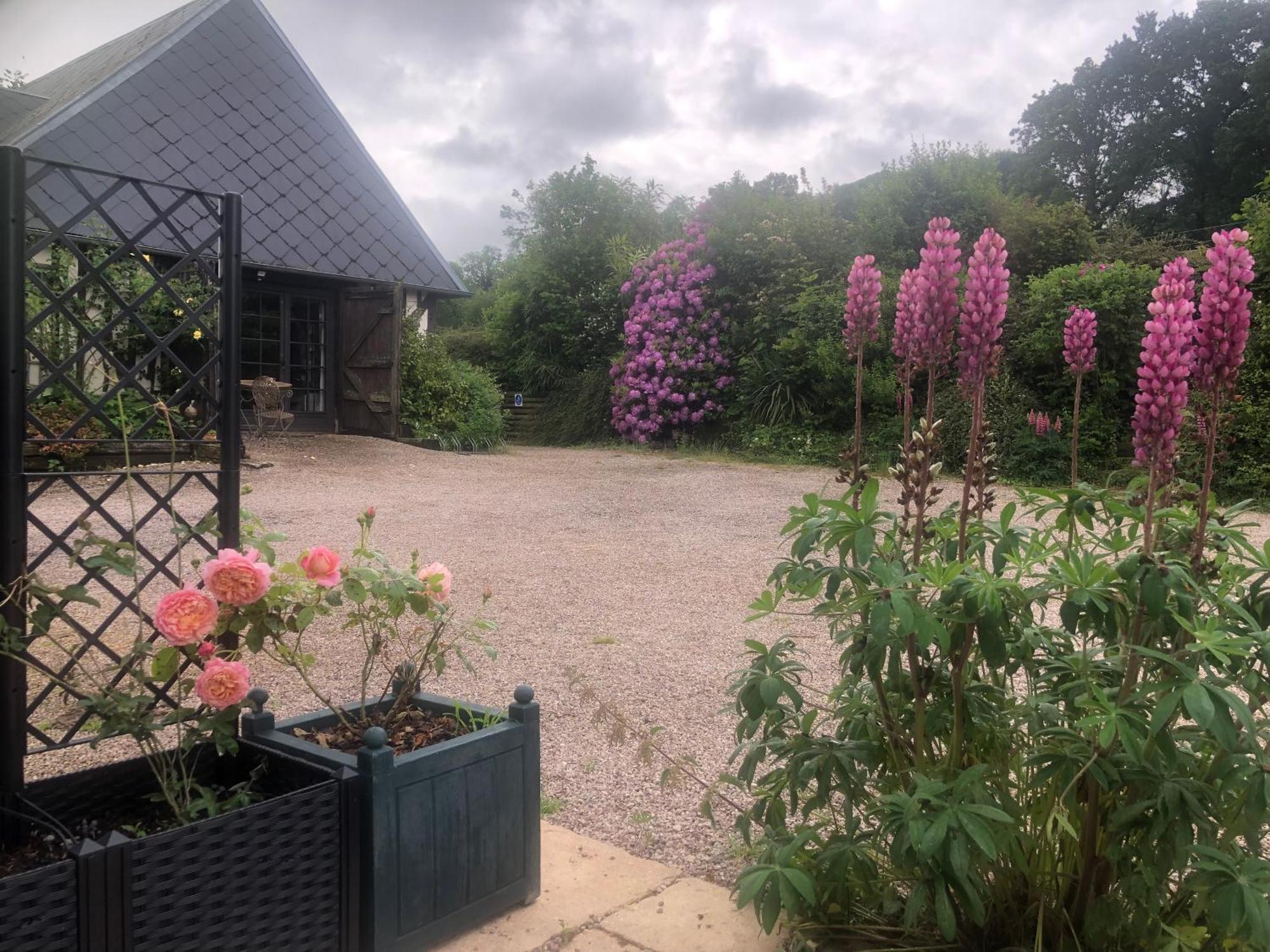 Bed and Breakfast Le Champ Des Possibles Manerbe Exteriér fotografie