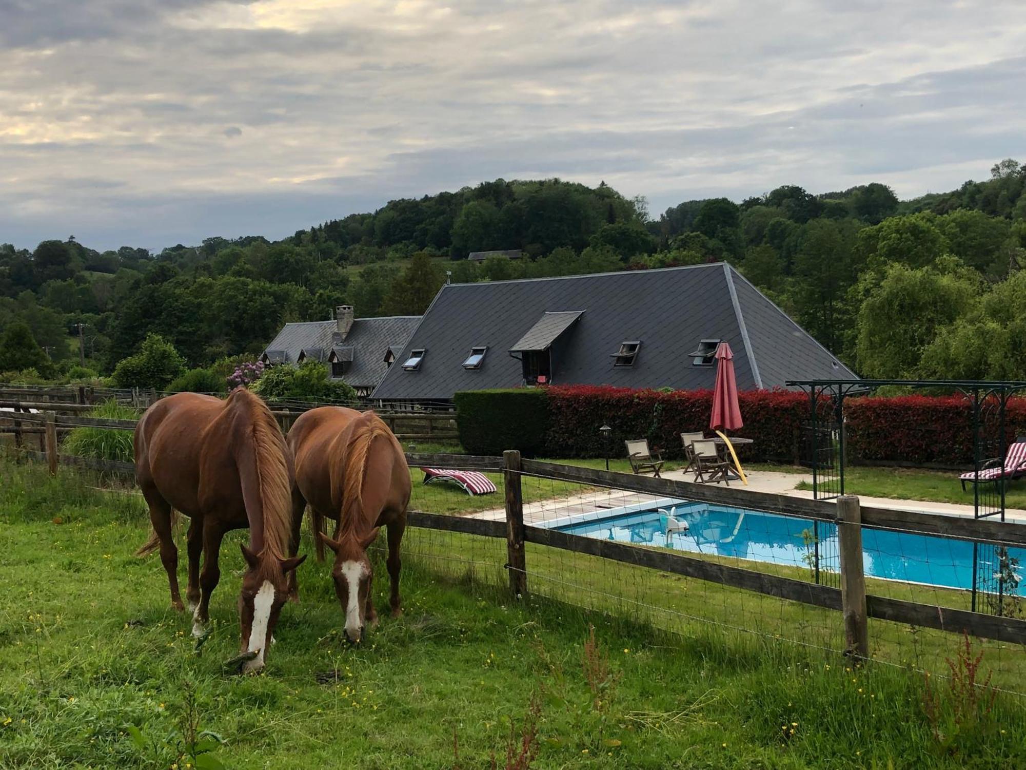 Bed and Breakfast Le Champ Des Possibles Manerbe Exteriér fotografie
