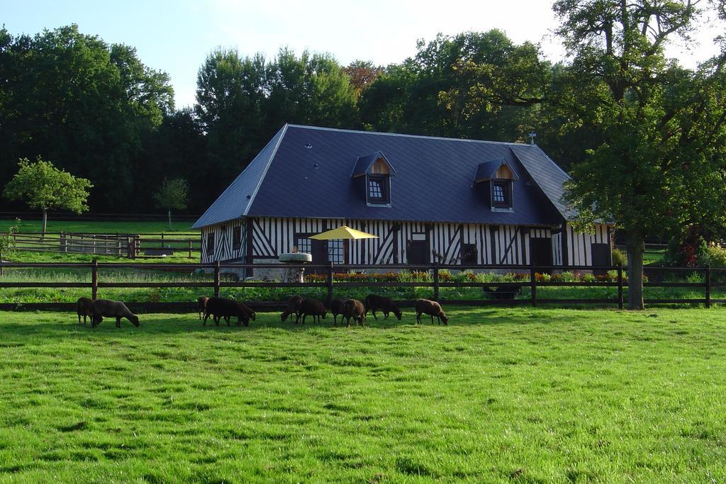 Bed and Breakfast Le Champ Des Possibles Manerbe Exteriér fotografie
